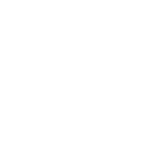 viviiAN DOG
