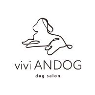 salon vivi ANDOG