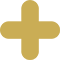 icon-plus