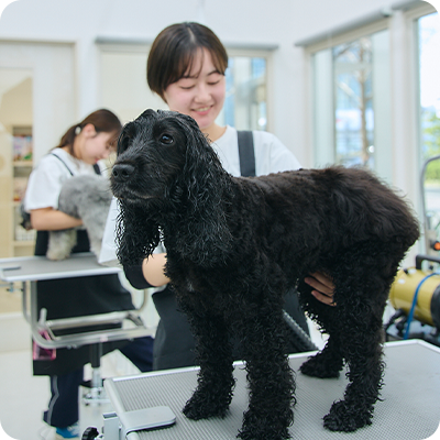 Nanjo