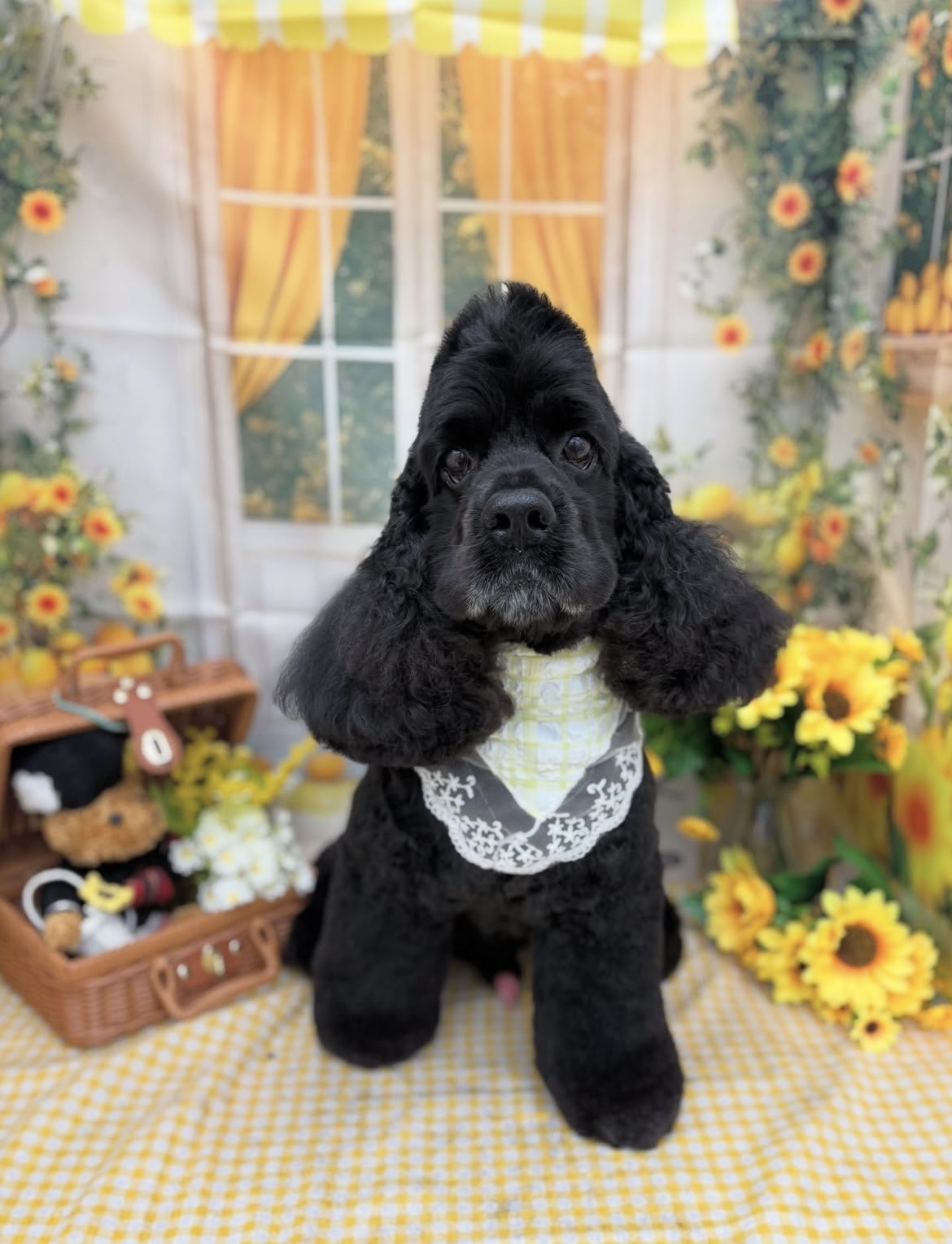 ☆トリミング紹介☆