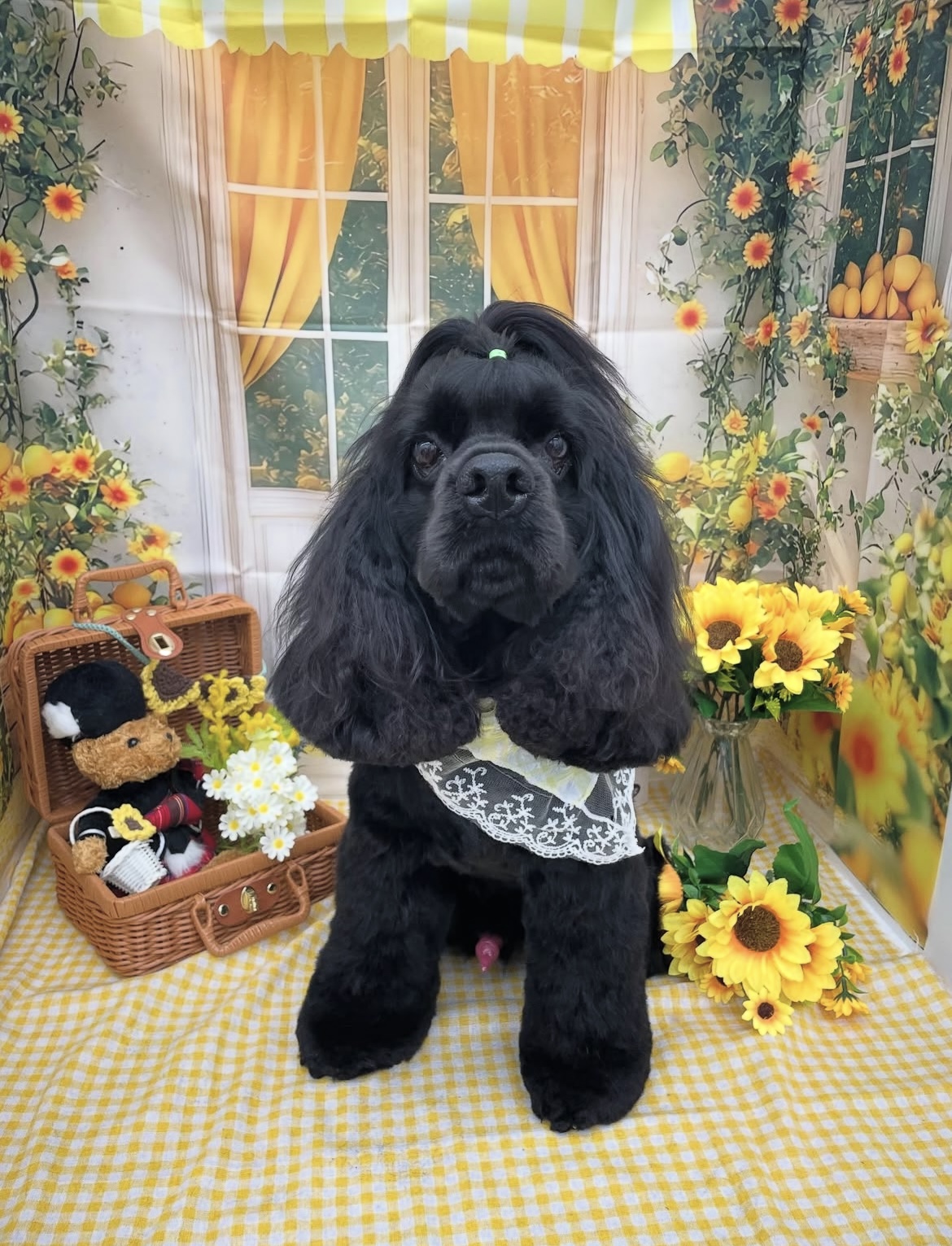 ☆トリミング紹介☆