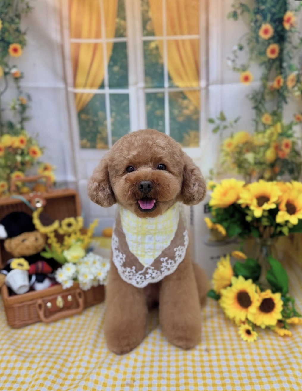 ☆トリミング紹介☆