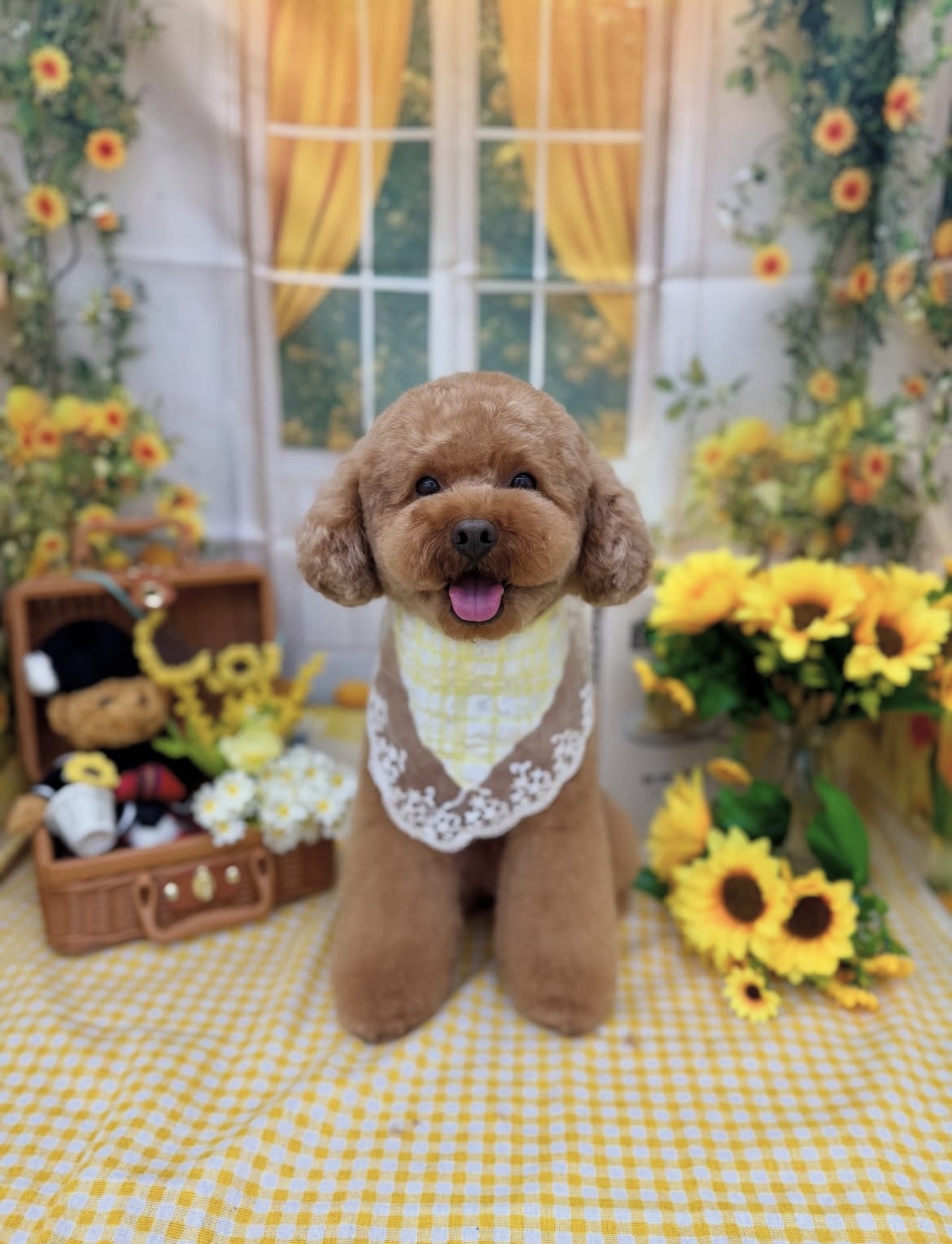 ☆トリミング紹介☆