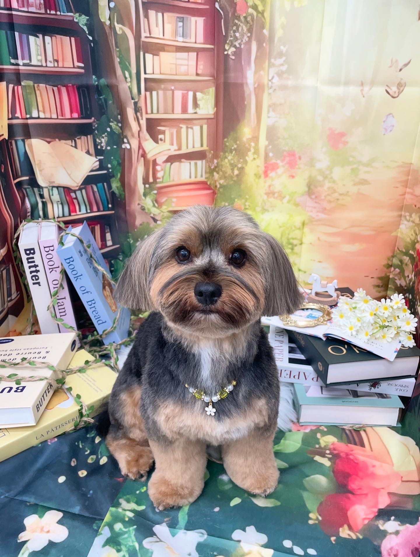 ☆トリミング紹介☆