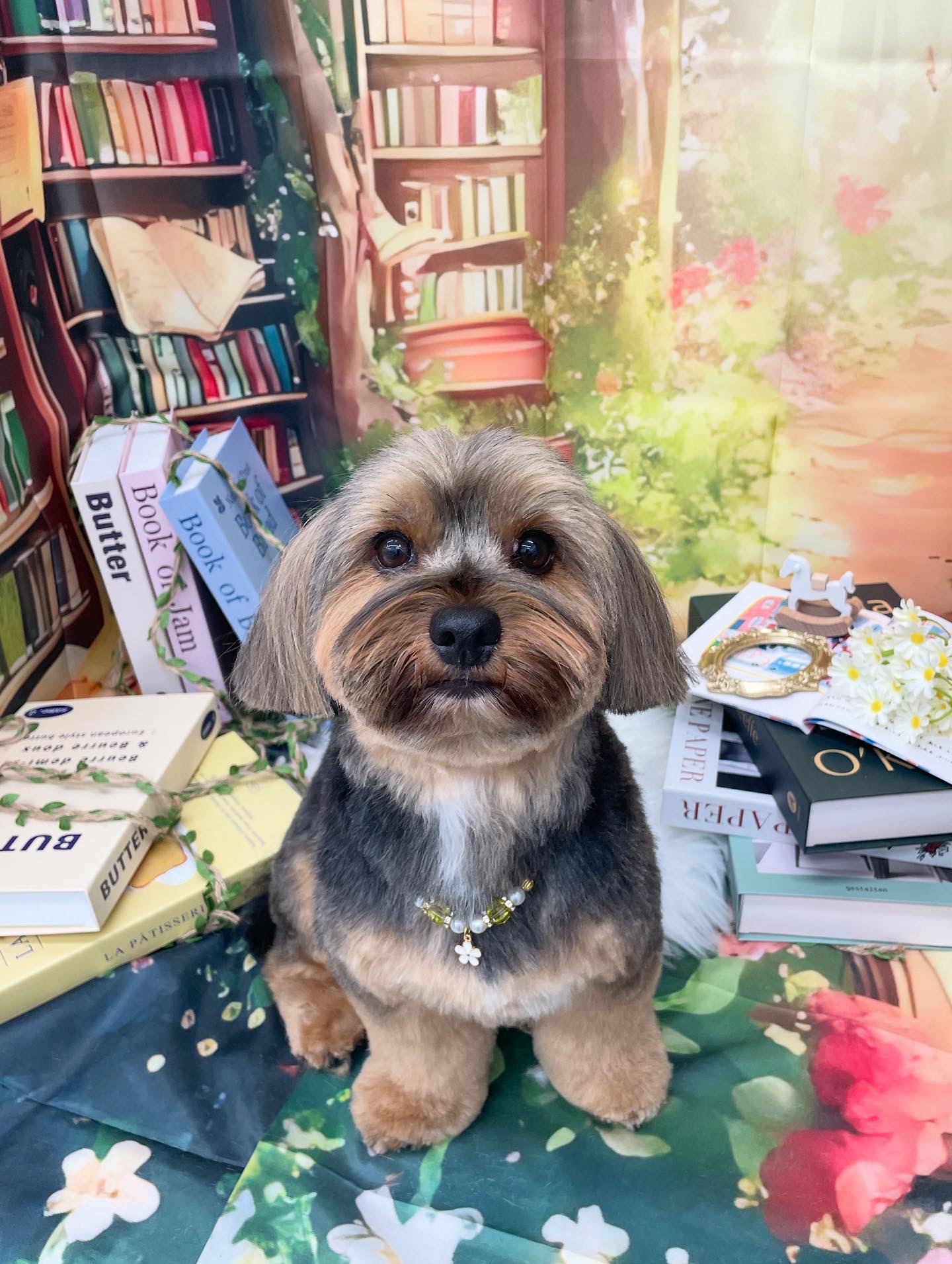 ☆トリミング紹介☆