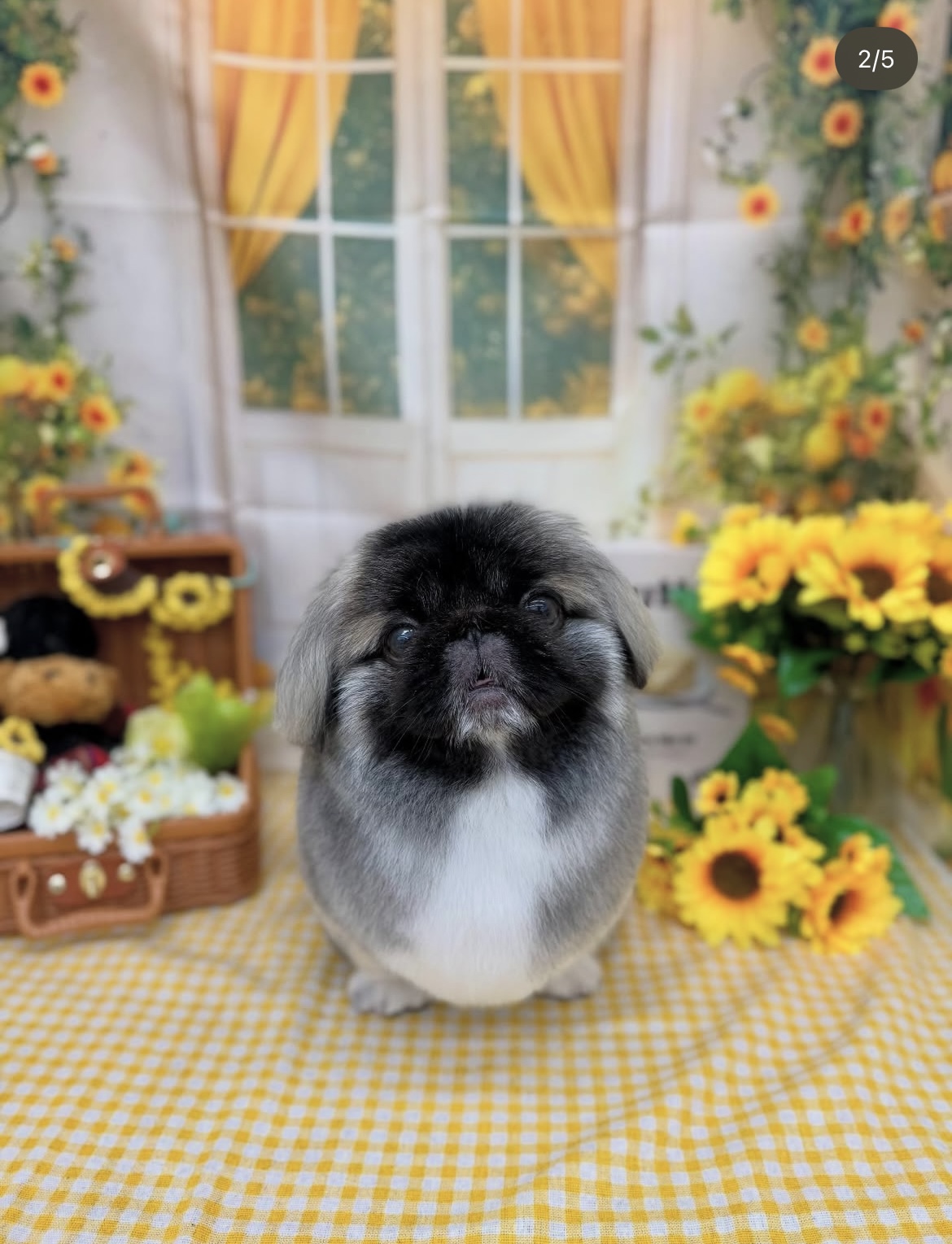 ☆トリミング紹介☆