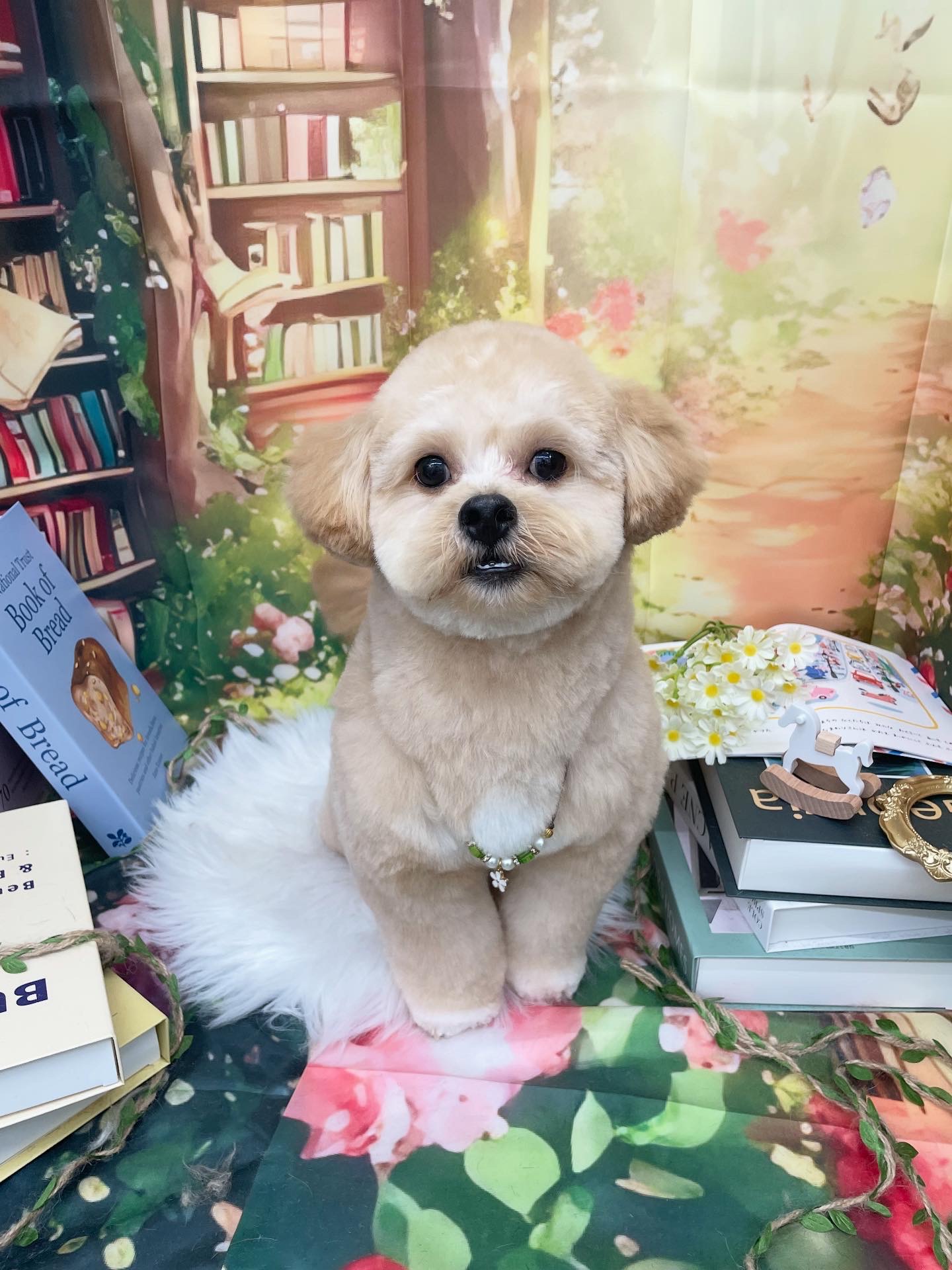 ☆トリミング紹介☆