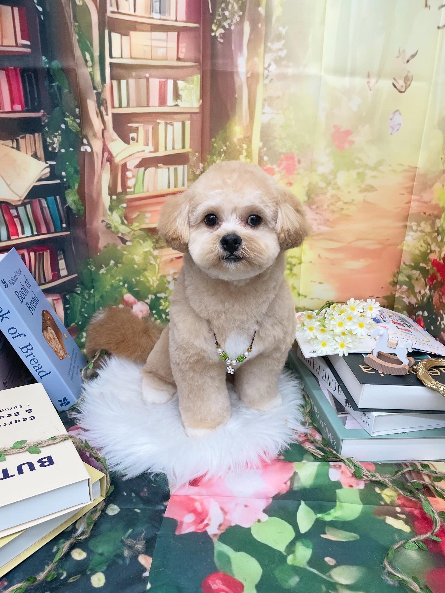 ☆トリミング紹介☆