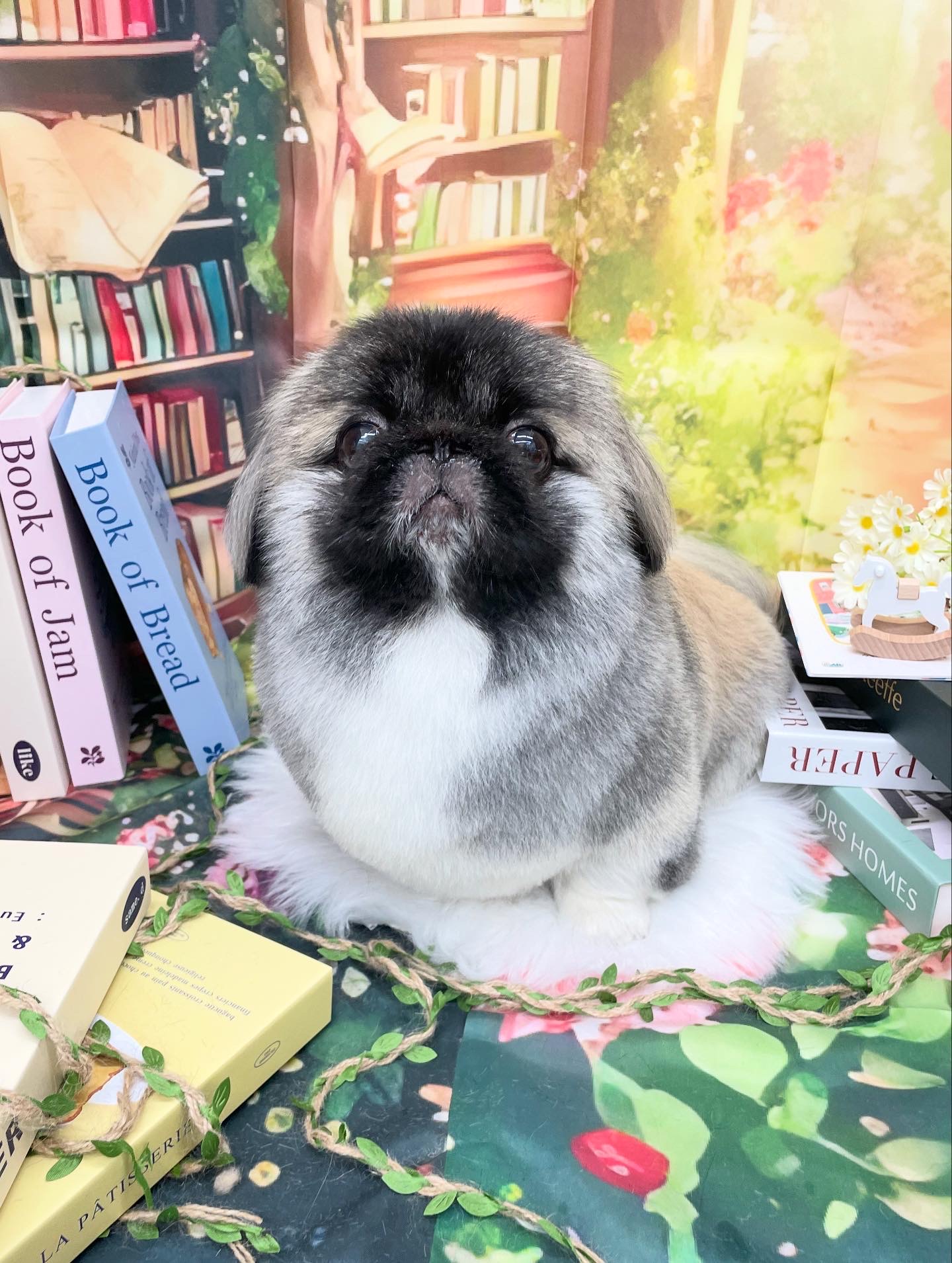 ☆トリミング紹介☆