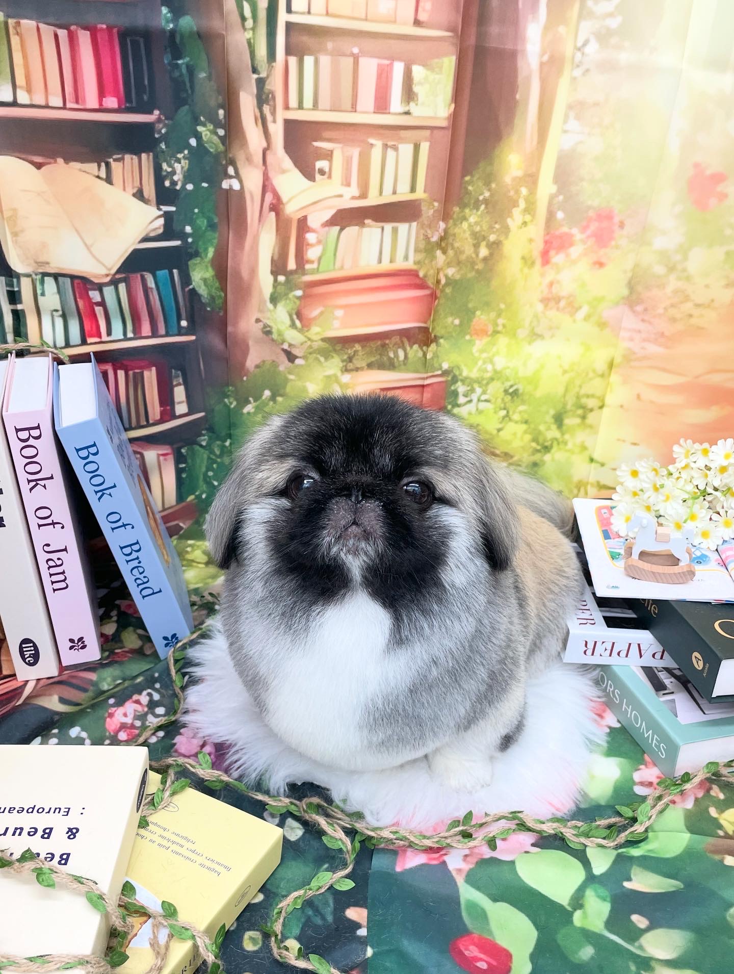 ☆トリミング紹介☆