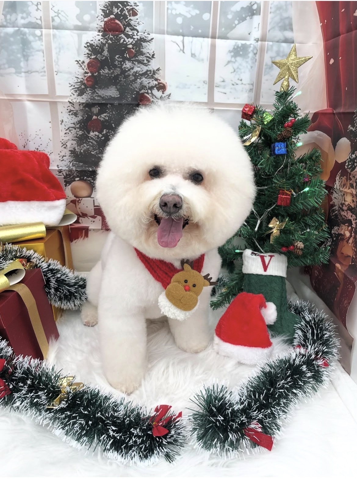 ☆トリミング紹介☆