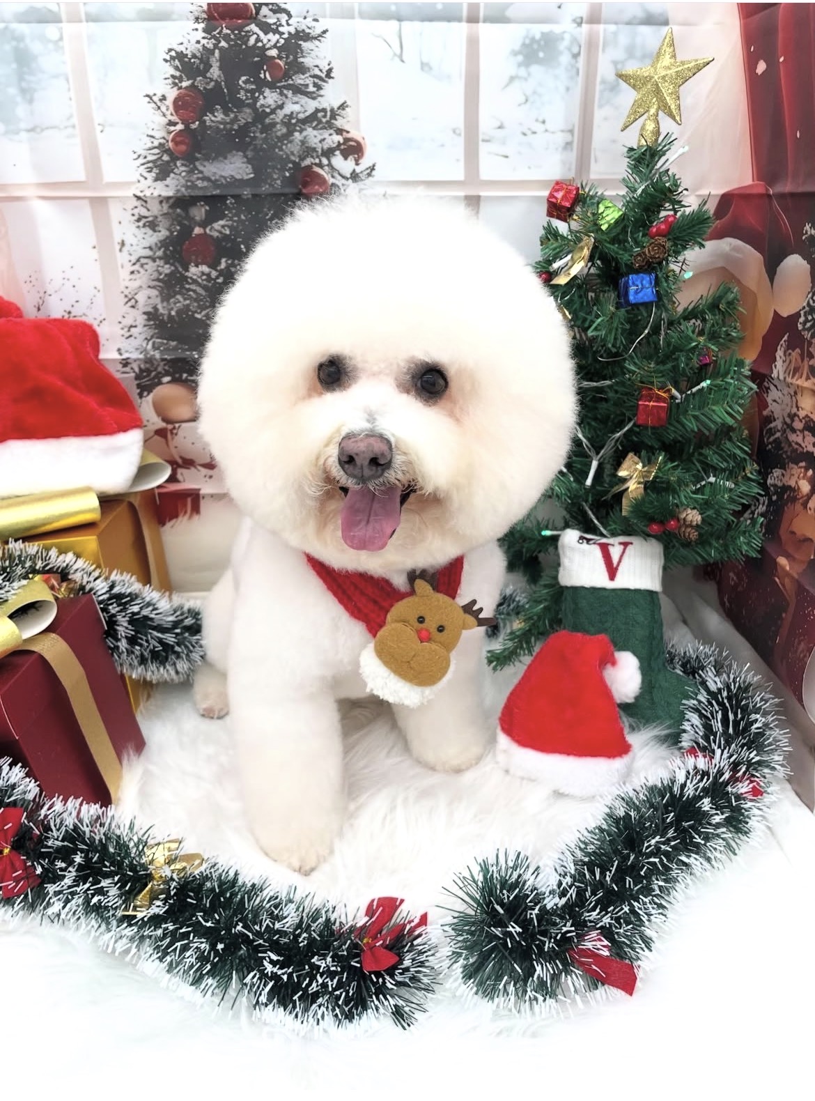 ☆トリミング紹介☆