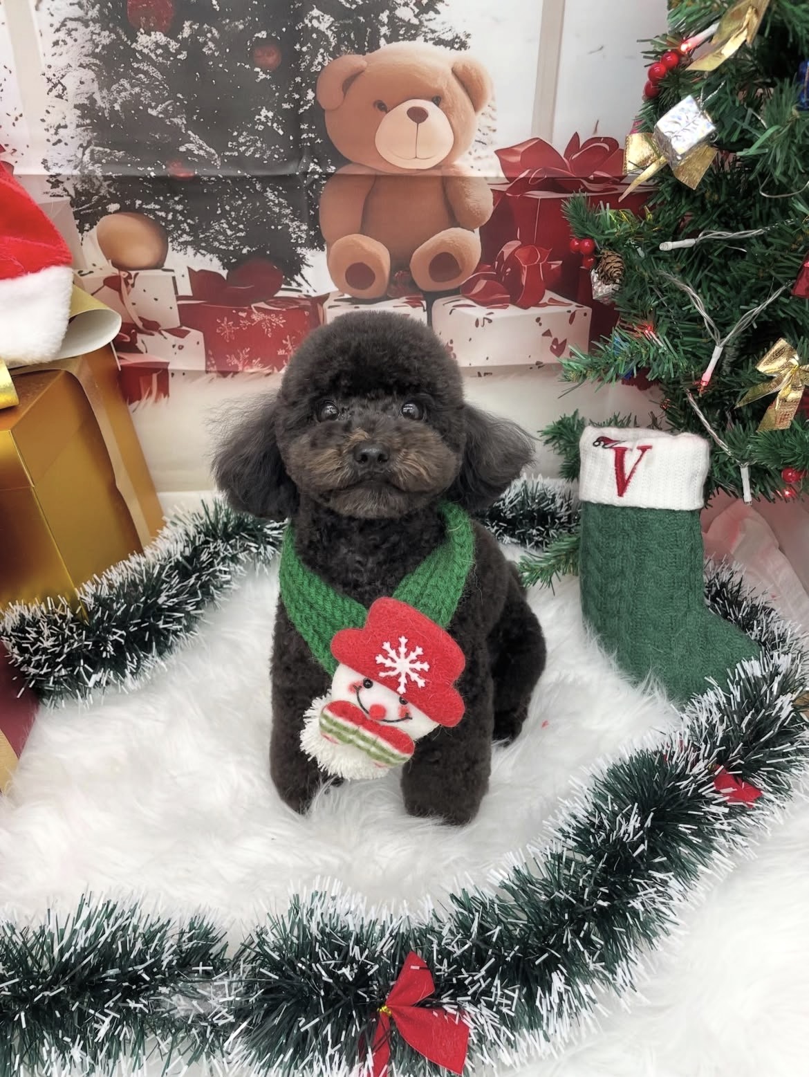 ☆トリミング紹介☆