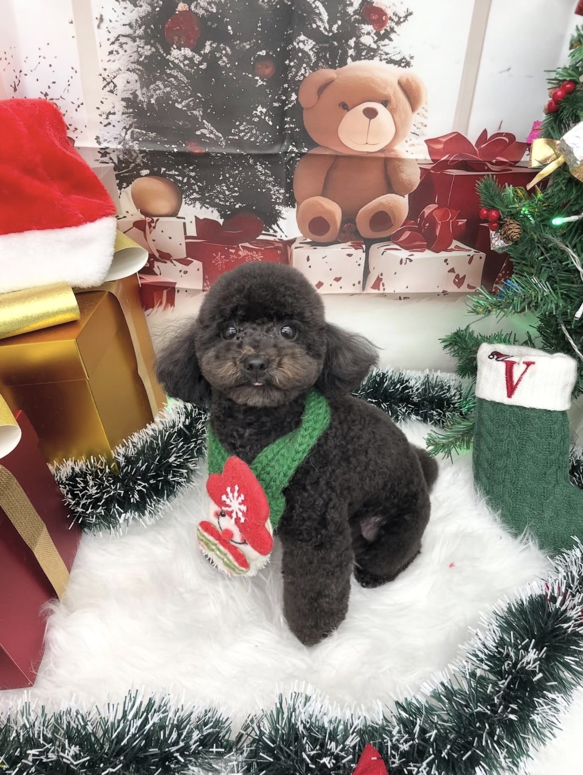 ☆トリミング紹介☆