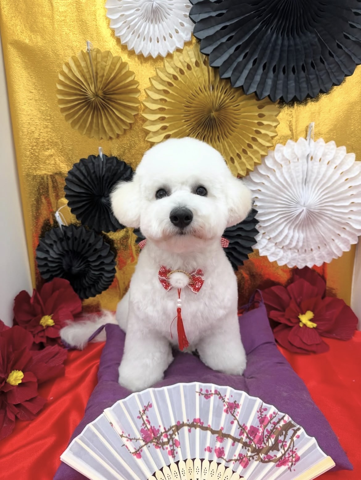 ☆トリミング紹介☆