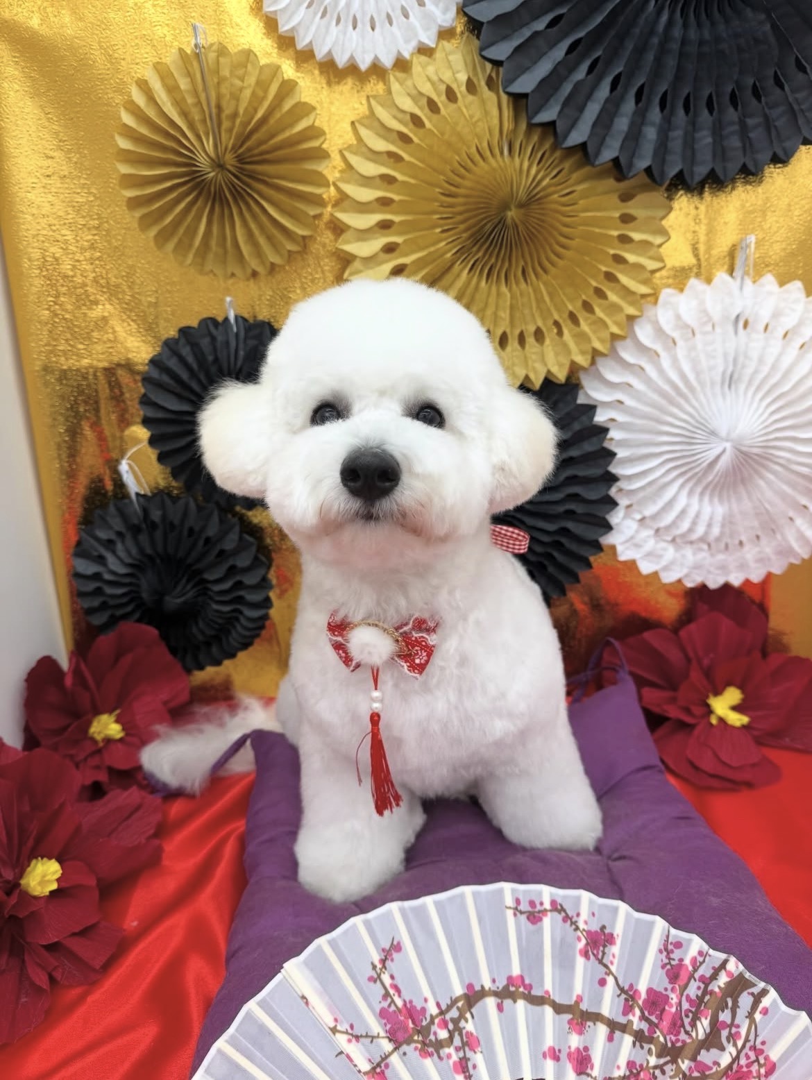 ☆トリミング紹介☆