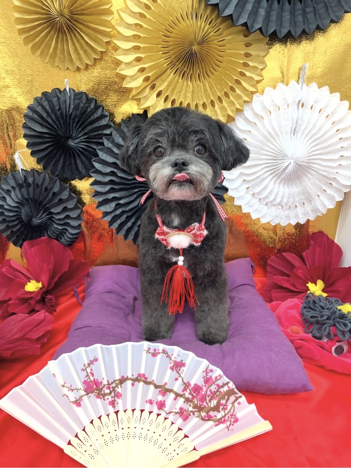 ☆トリミング紹介☆