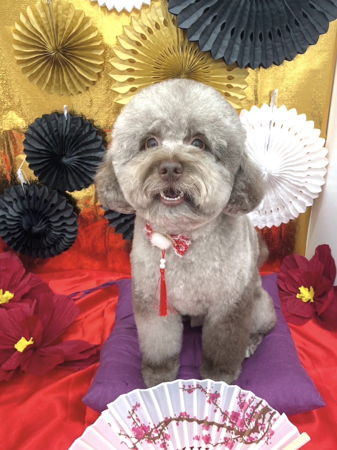 ☆トリミング紹介☆