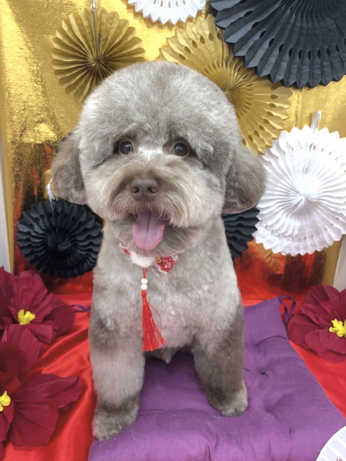 ☆トリミング紹介☆