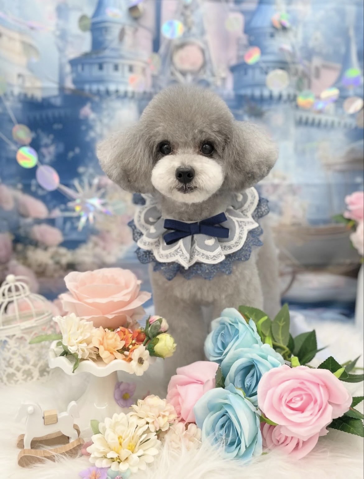 ☆トリミング紹介☆