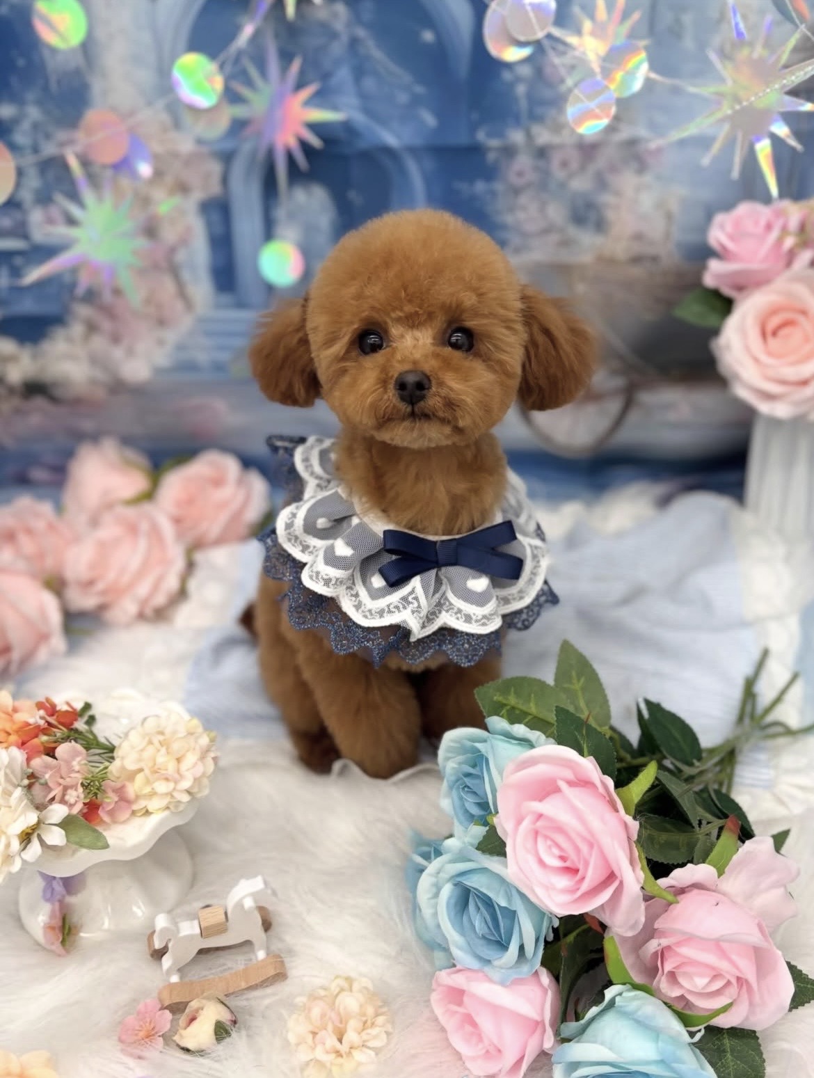 ☆トリミング紹介☆