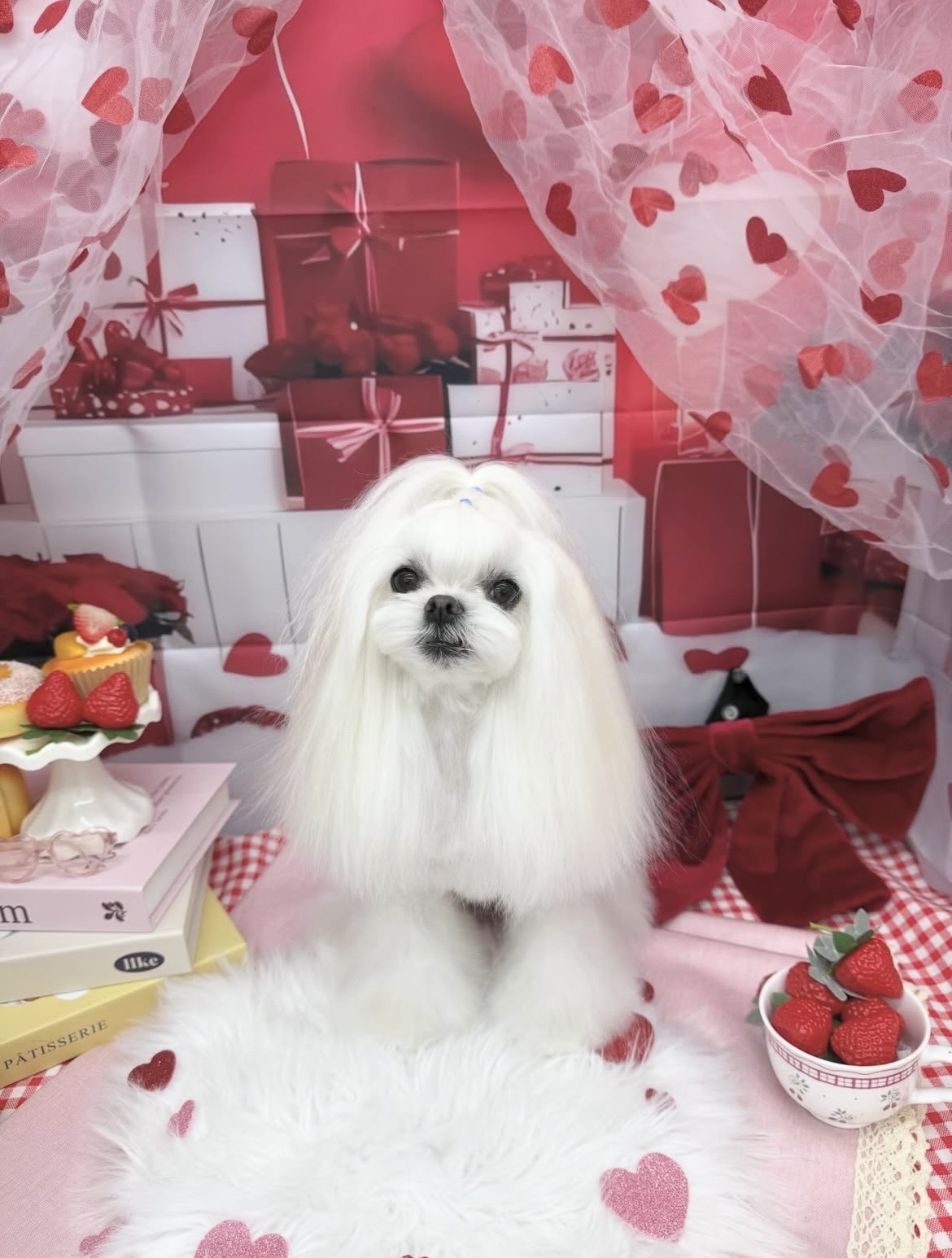 ☆トリミング紹介☆