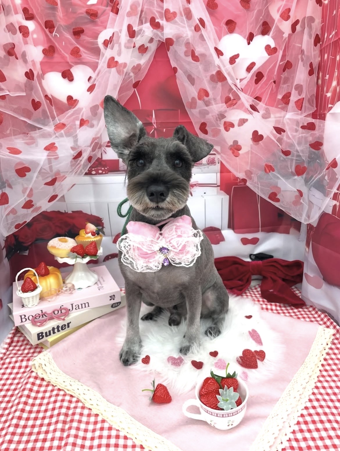 ☆トリミング紹介☆