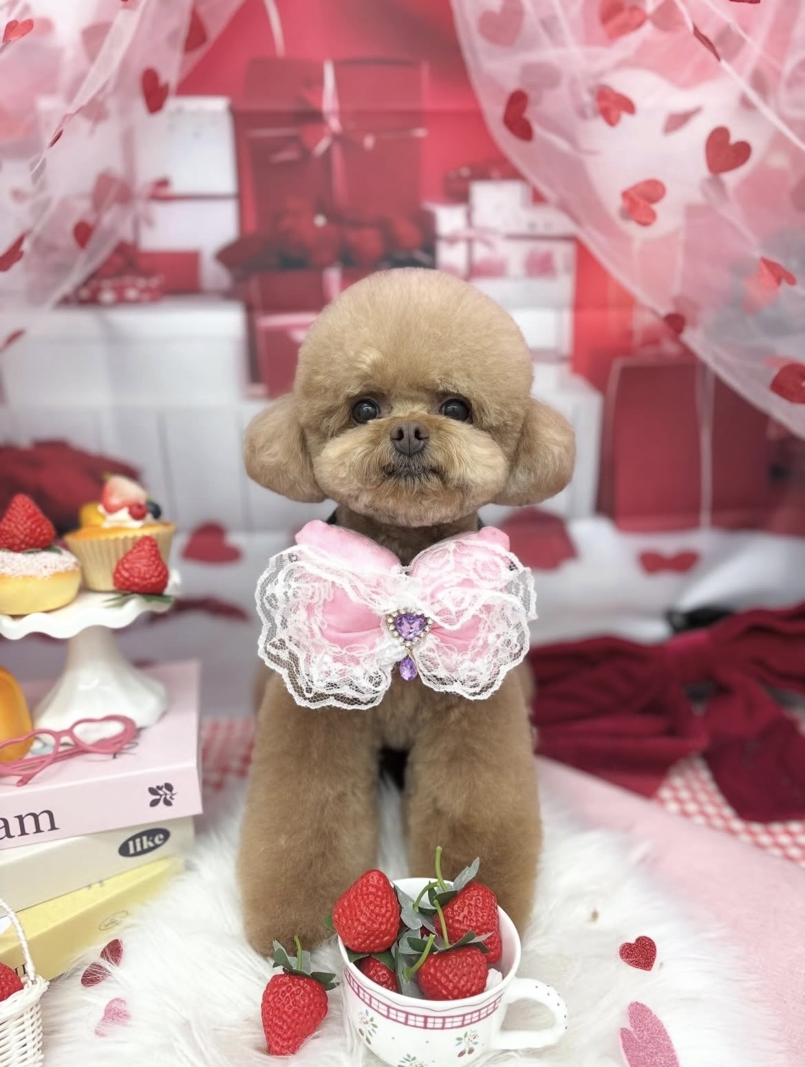 ☆トリミング紹介☆