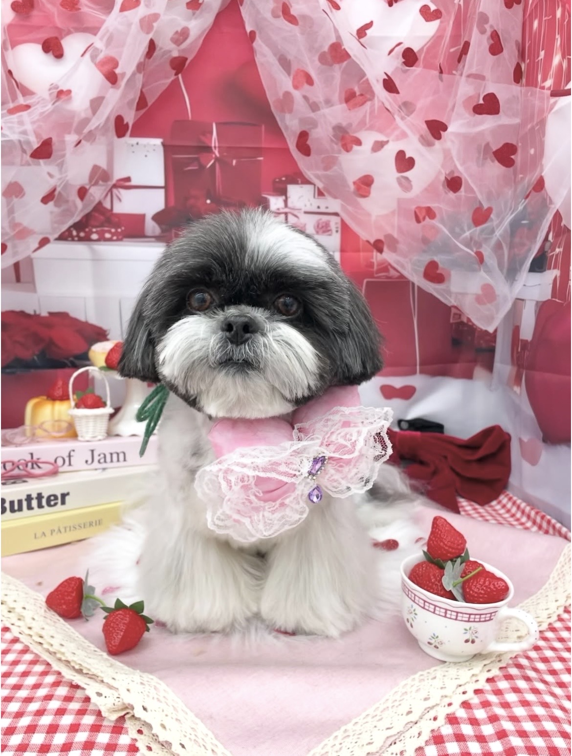 ☆トリミング紹介☆