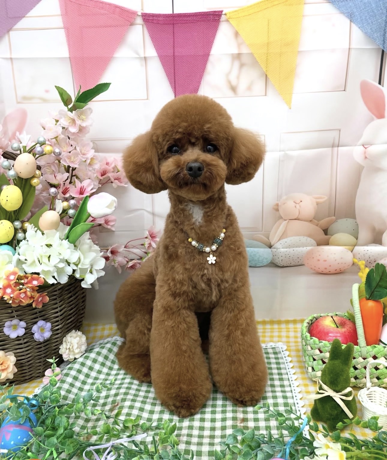 ☆トリミング紹介☆