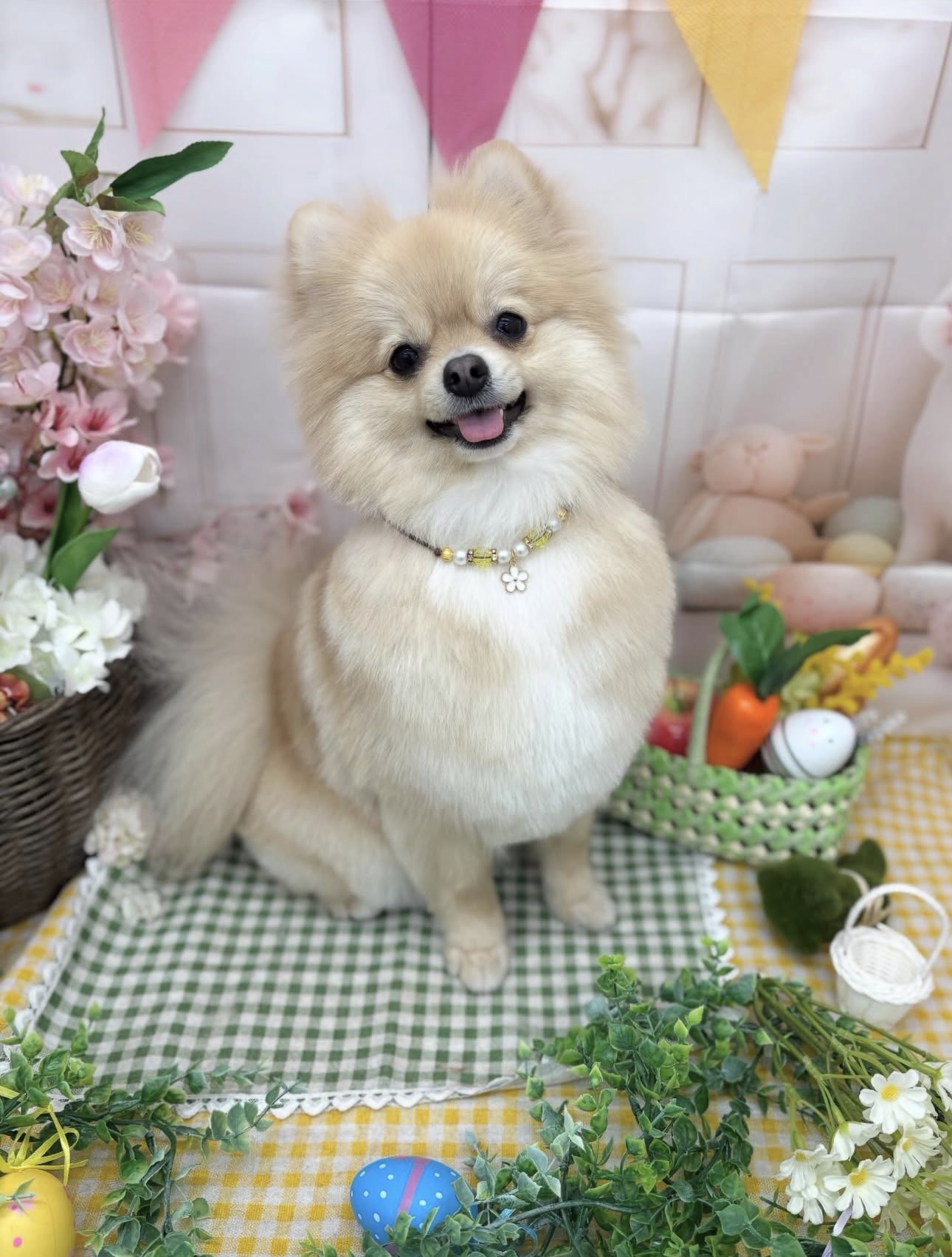 ☆トリミング紹介☆