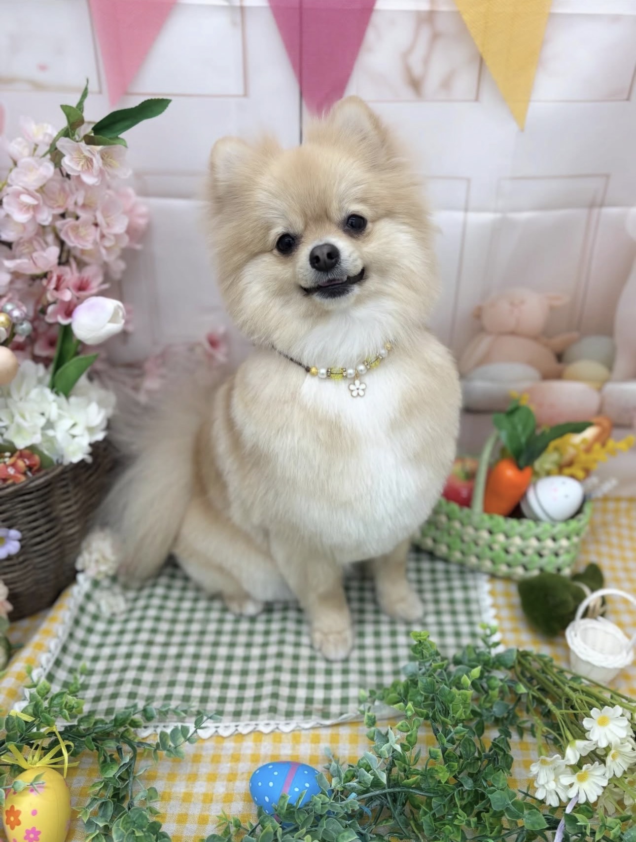 ☆トリミング紹介☆