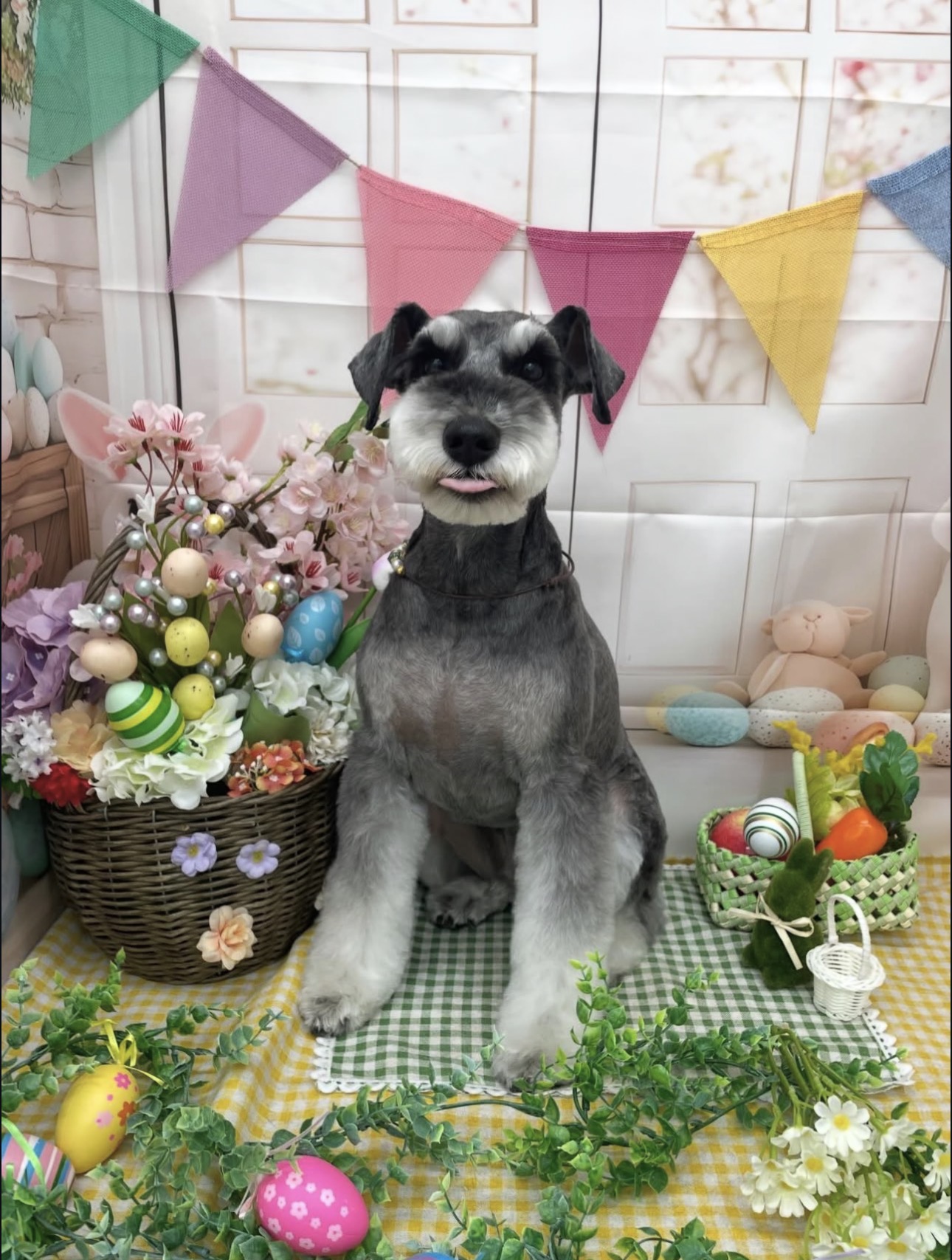 ☆トリミング紹介☆