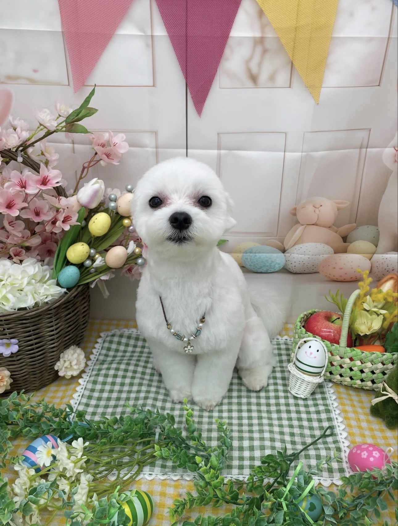 ☆トリミング紹介☆