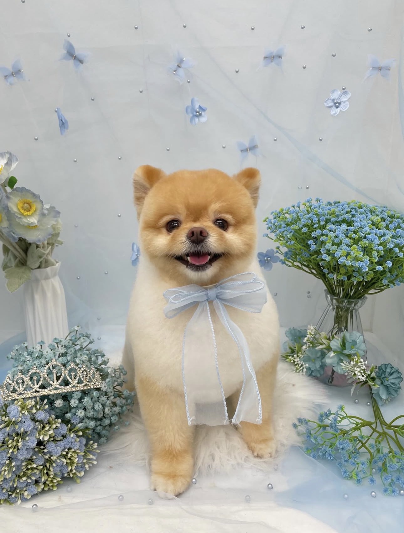 ☆トリミング紹介☆