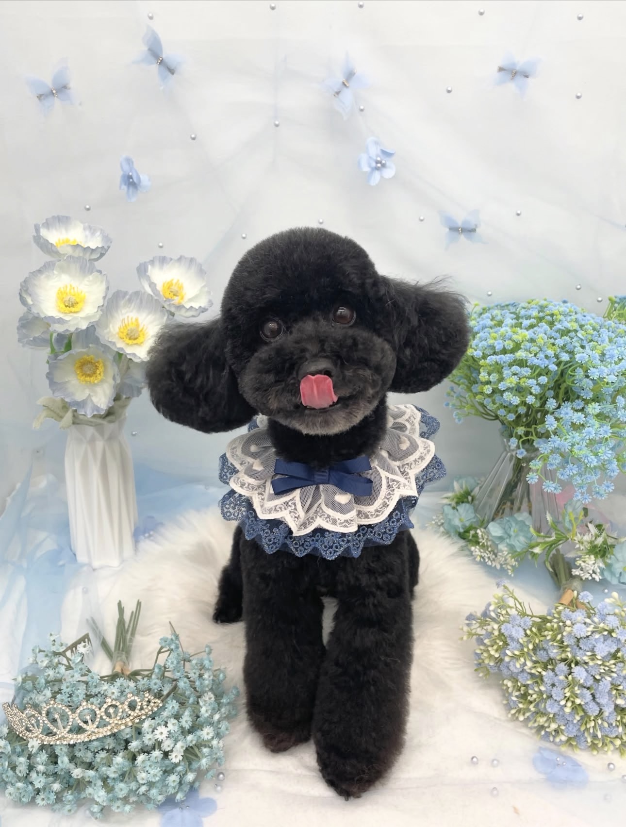 ☆トリミング紹介☆