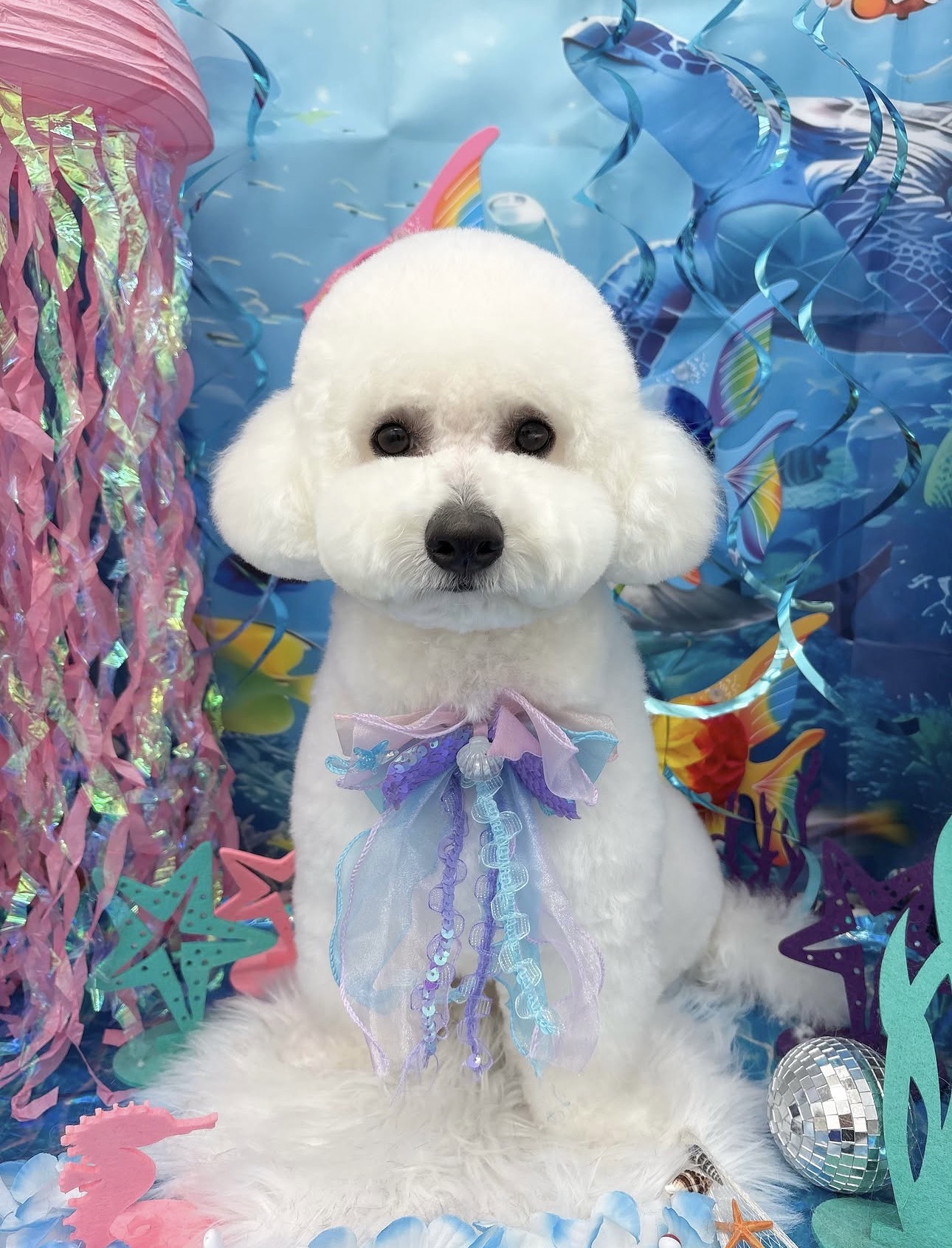 ☆トリミング紹介☆