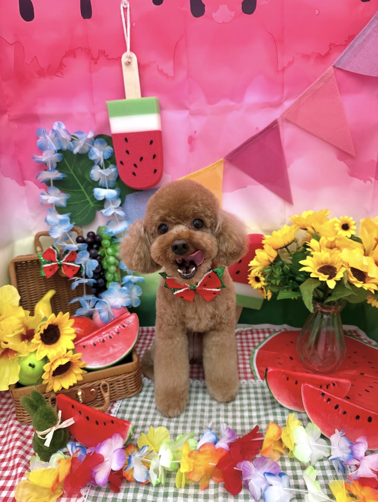 ☆トリミング紹介☆