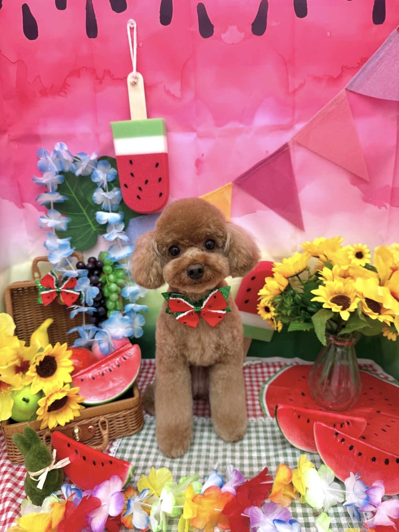 ☆トリミング紹介☆