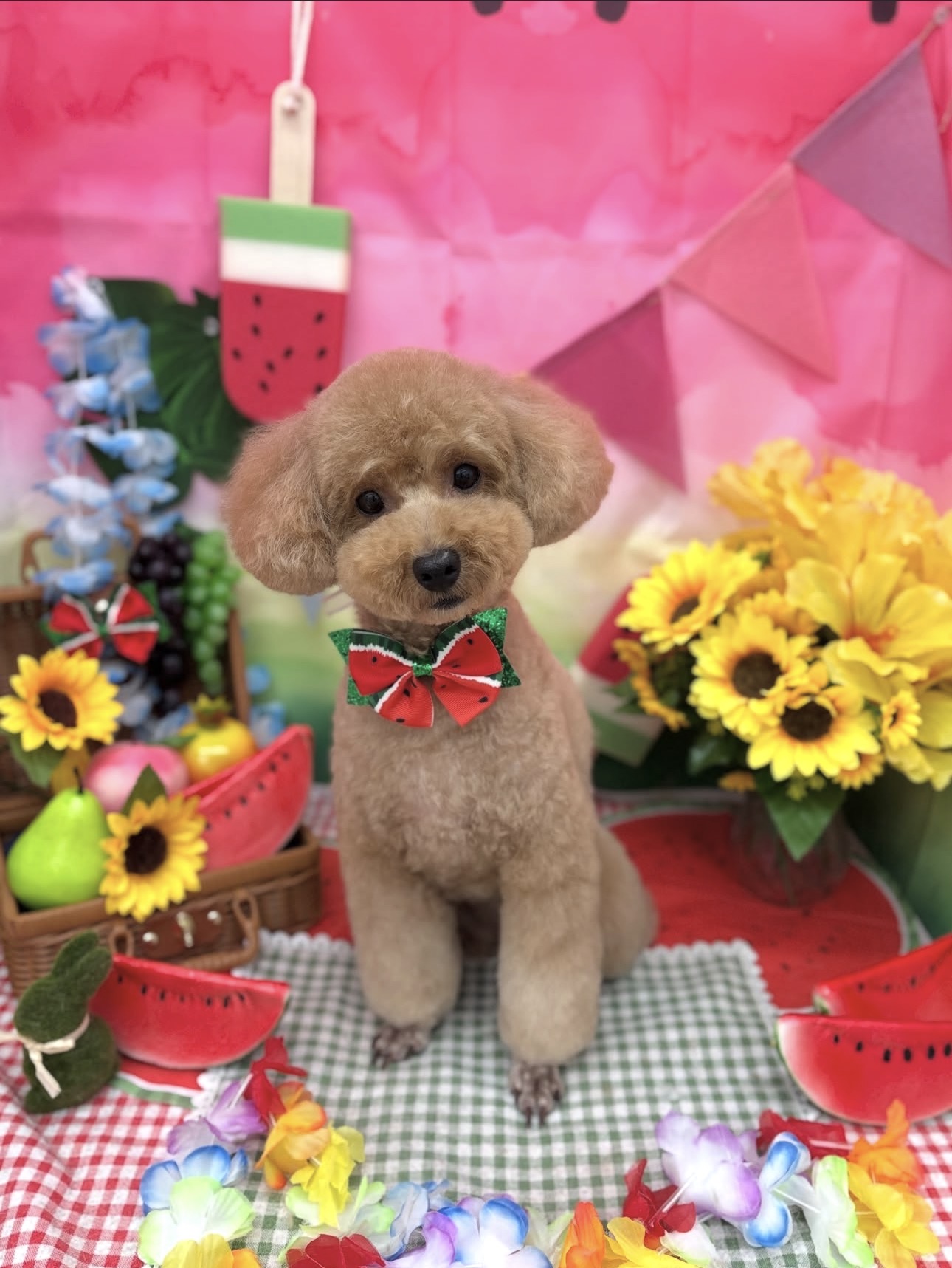 ☆トリミング紹介☆